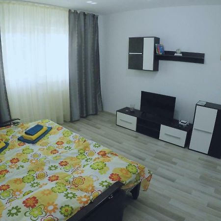 Ama Apartment Mountain View & Parking Braşov Buitenkant foto