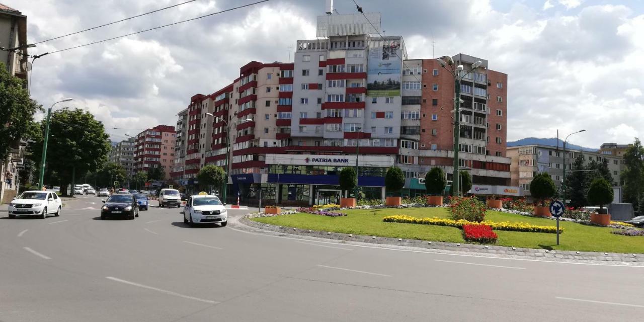Ama Apartment Mountain View & Parking Braşov Buitenkant foto